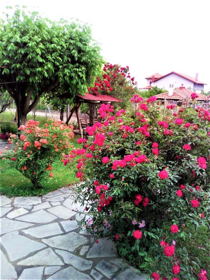 Villa Jenny Leptokaryá Exterior foto