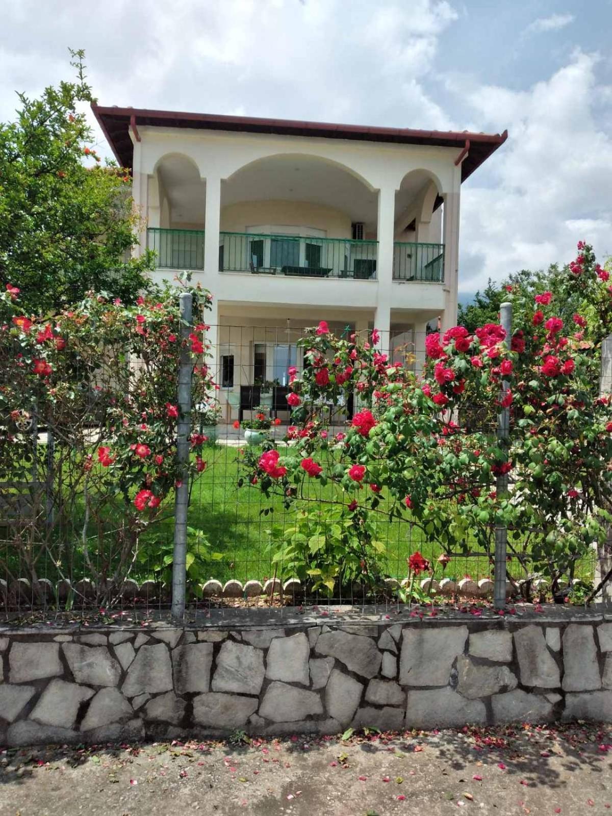 Villa Jenny Leptokaryá Exterior foto