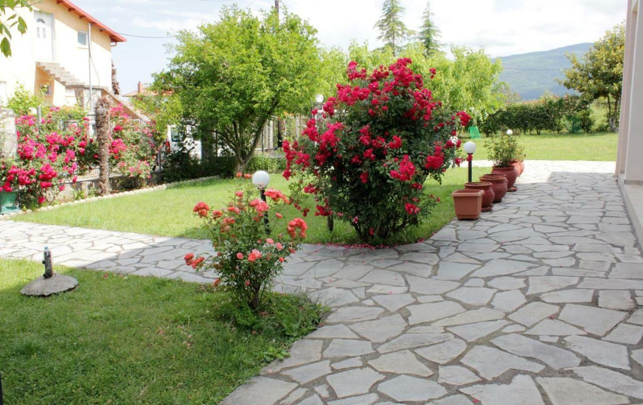 Villa Jenny Leptokaryá Exterior foto